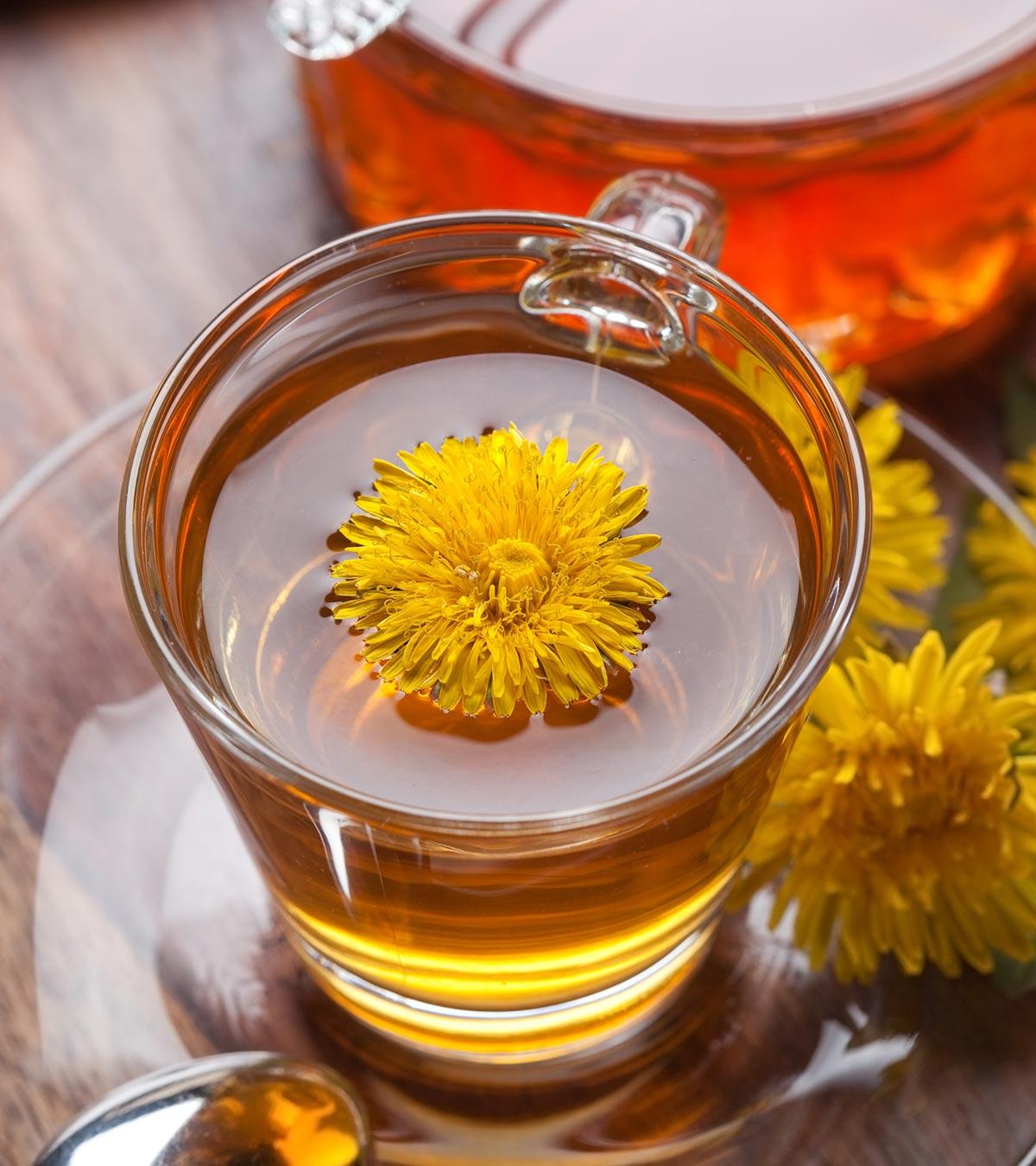 Having Dandelion Tea During Pregnancy