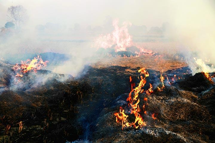 land pollution definition for kids