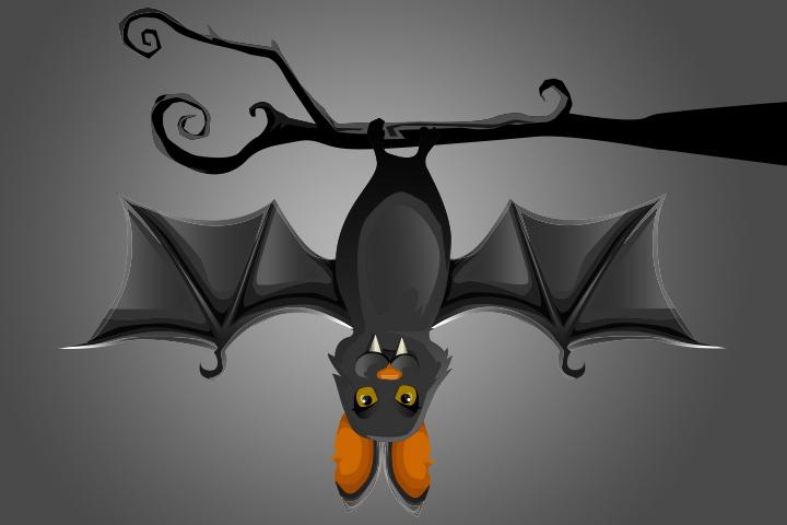14 Important Facts And Information About Bats For Kids