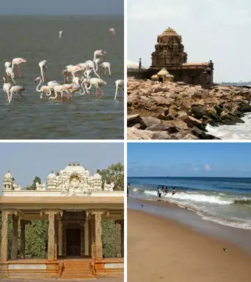 30 Famous Places To Visit In Chennai With Your Kids