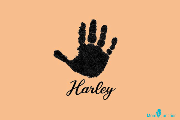 Tattoo idea for the name Harley
