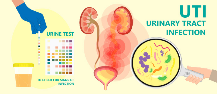 Symptoms Of Urinary Tract Infection In Teens