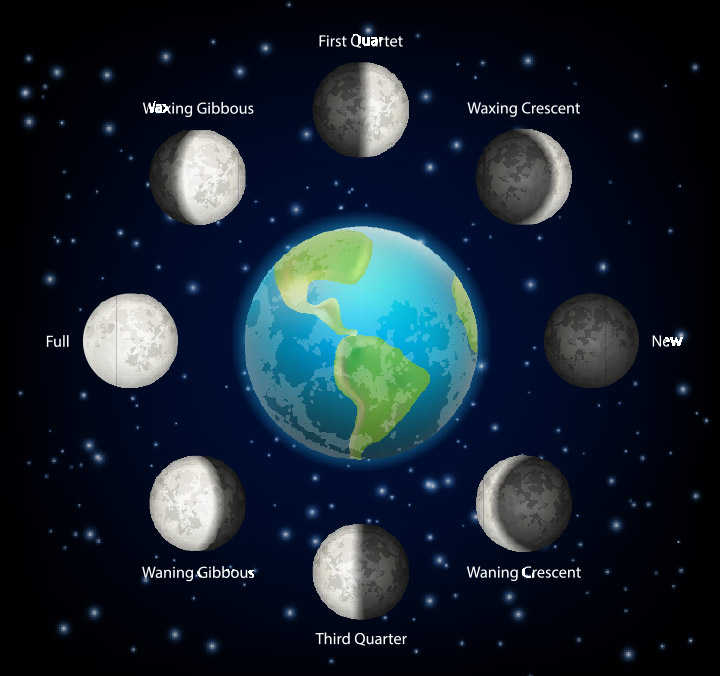 Phases of the moon facts for kids