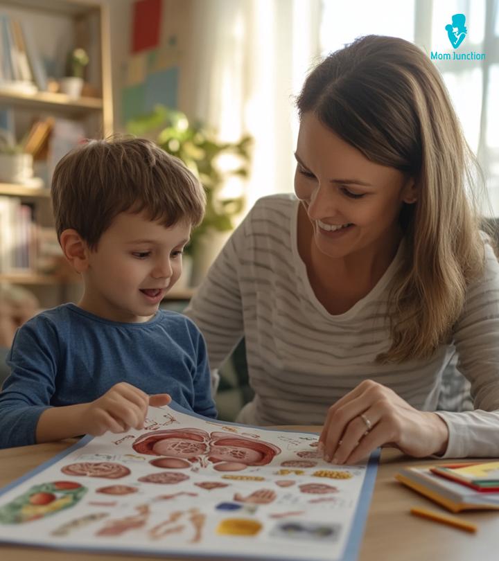 30 Amazing Facts About Human Eyes For Kids With Diagrams