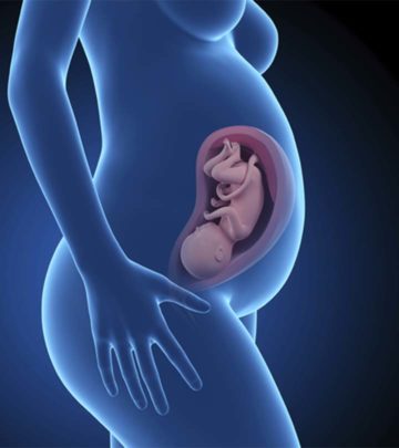 Guess What Happens To Your Internal Organs During Pregnancy