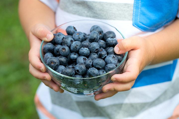Blueberries For Kids Nutritional Facts, Benefits And Recipes