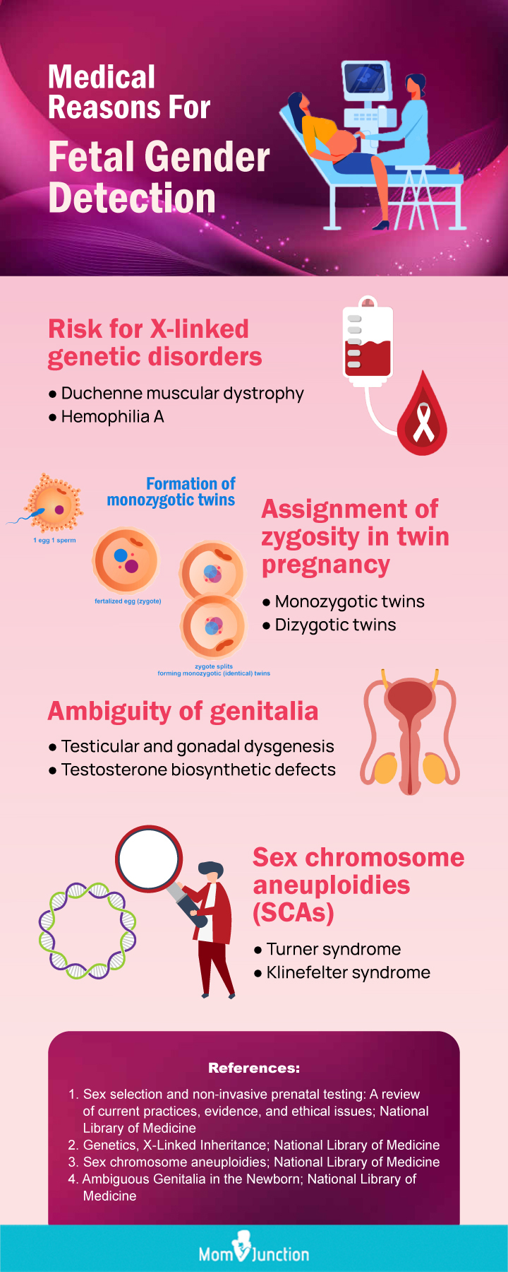 fetal gender detection (infographic)