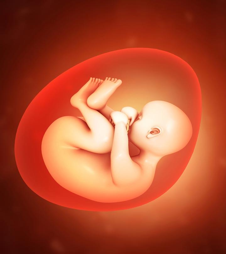 4 Foods That Are Toxic For Your Unborn Baby