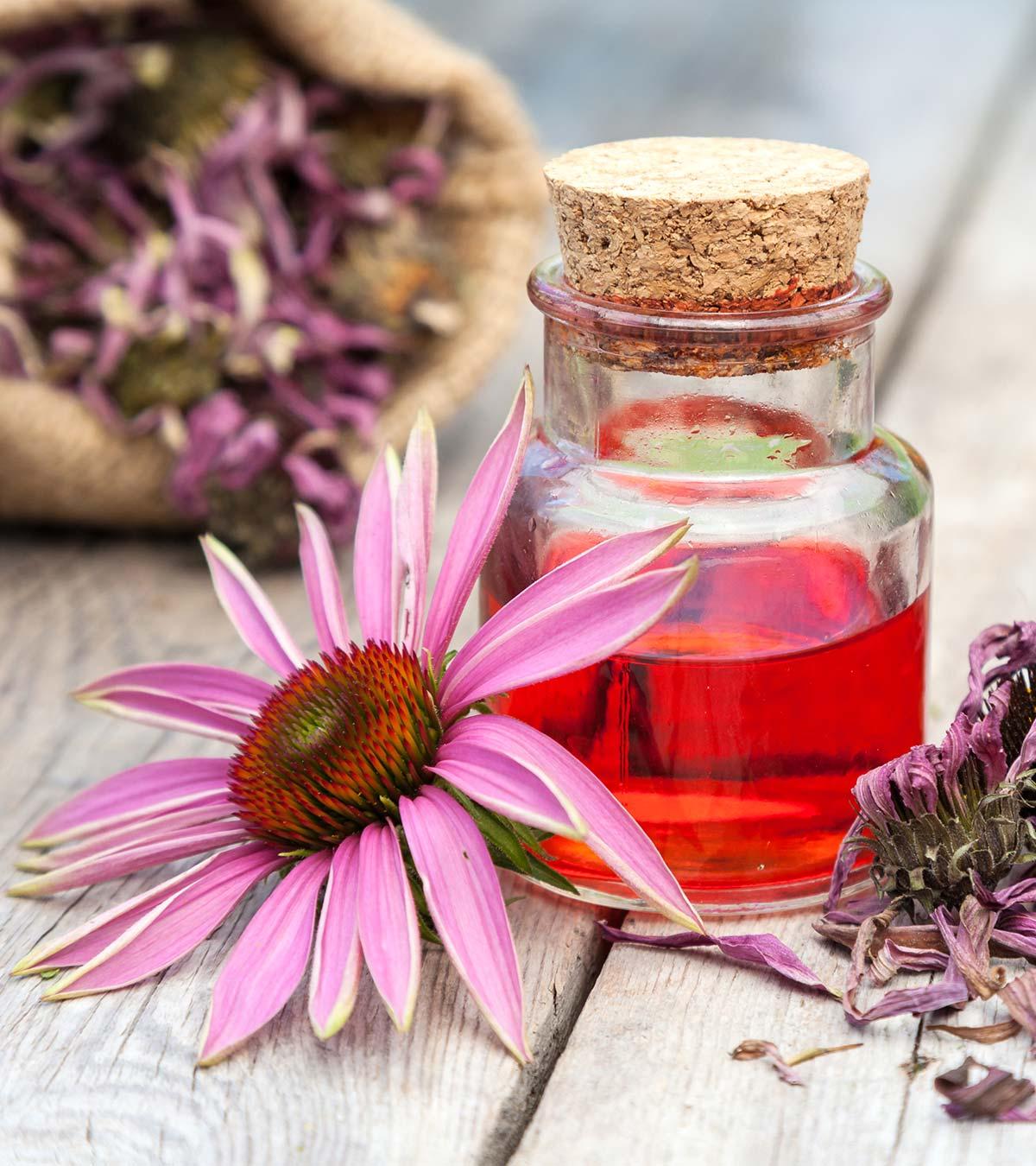 Echinacea While Breastfeeding