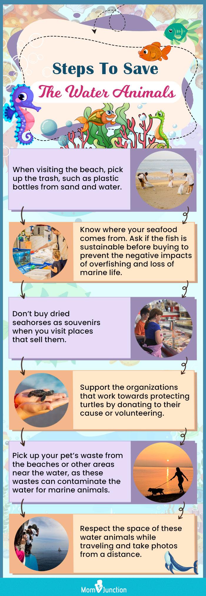 steps to save the water animals (infographic)