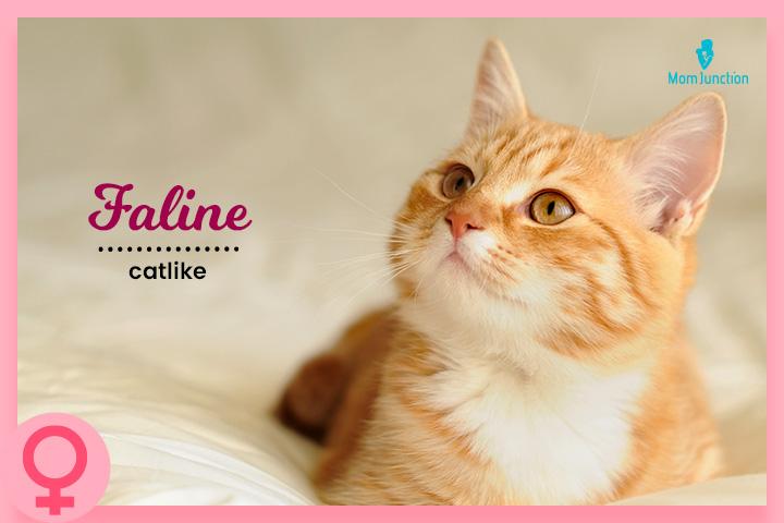 50 Amazing Animal Inspired Baby Names For Girls And Boys 50 Amazing Animal Inspired Baby Names For Girls And Boys