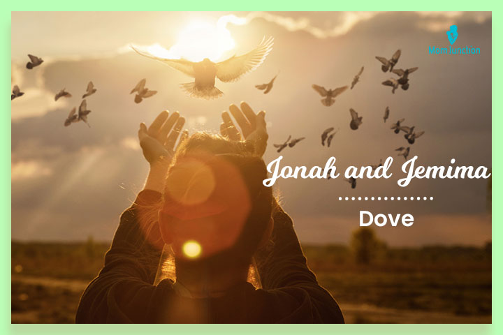 Jonah and Jemima are names meaning dove. 
