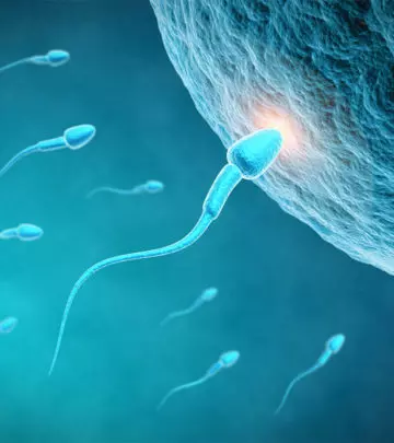 Unbelievable: You Can Get Pregnant Without Eggs Or Sperm