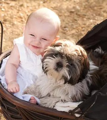 Why Dogs and Cats Make Babies Healthier