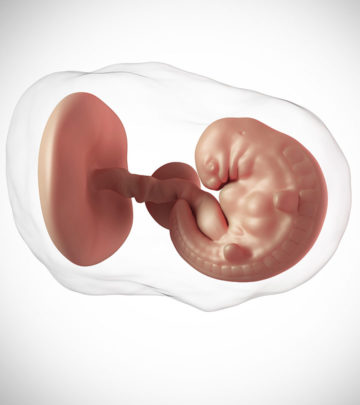10 Signs That The Baby In Womb Has Stopped Growing