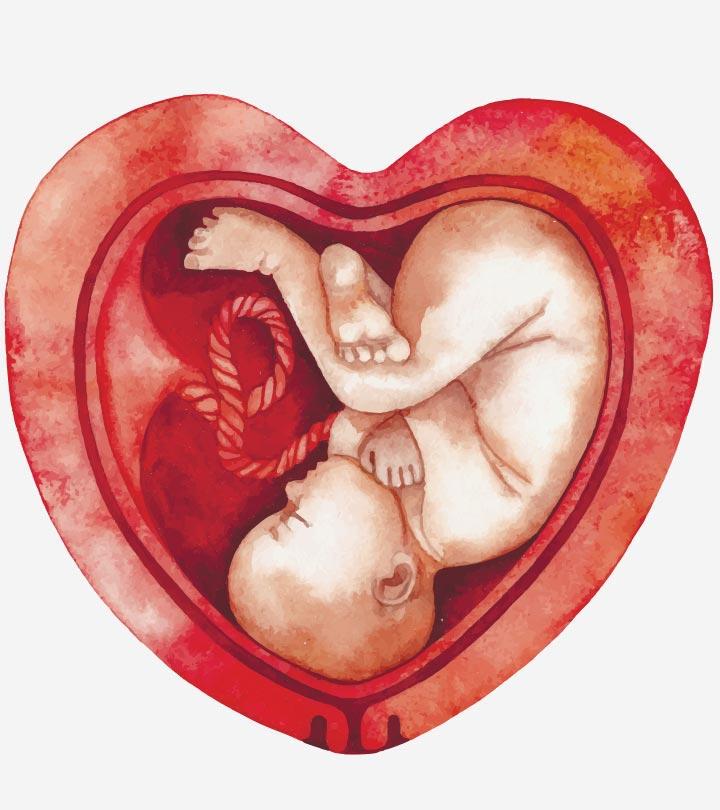 5 Foods Pregnant Women Should Eat For Baby’s Strong And Healthy Heart