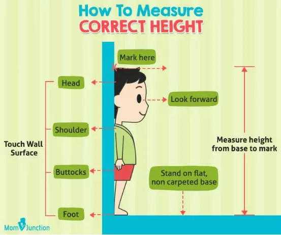 child height predictor