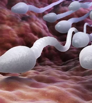 Why Are Scientists Studying Sperm To Find the Key To Male Fertility