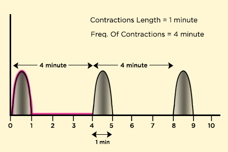 How are contractions timed