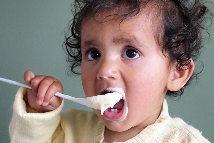Whole Cream Yogurt