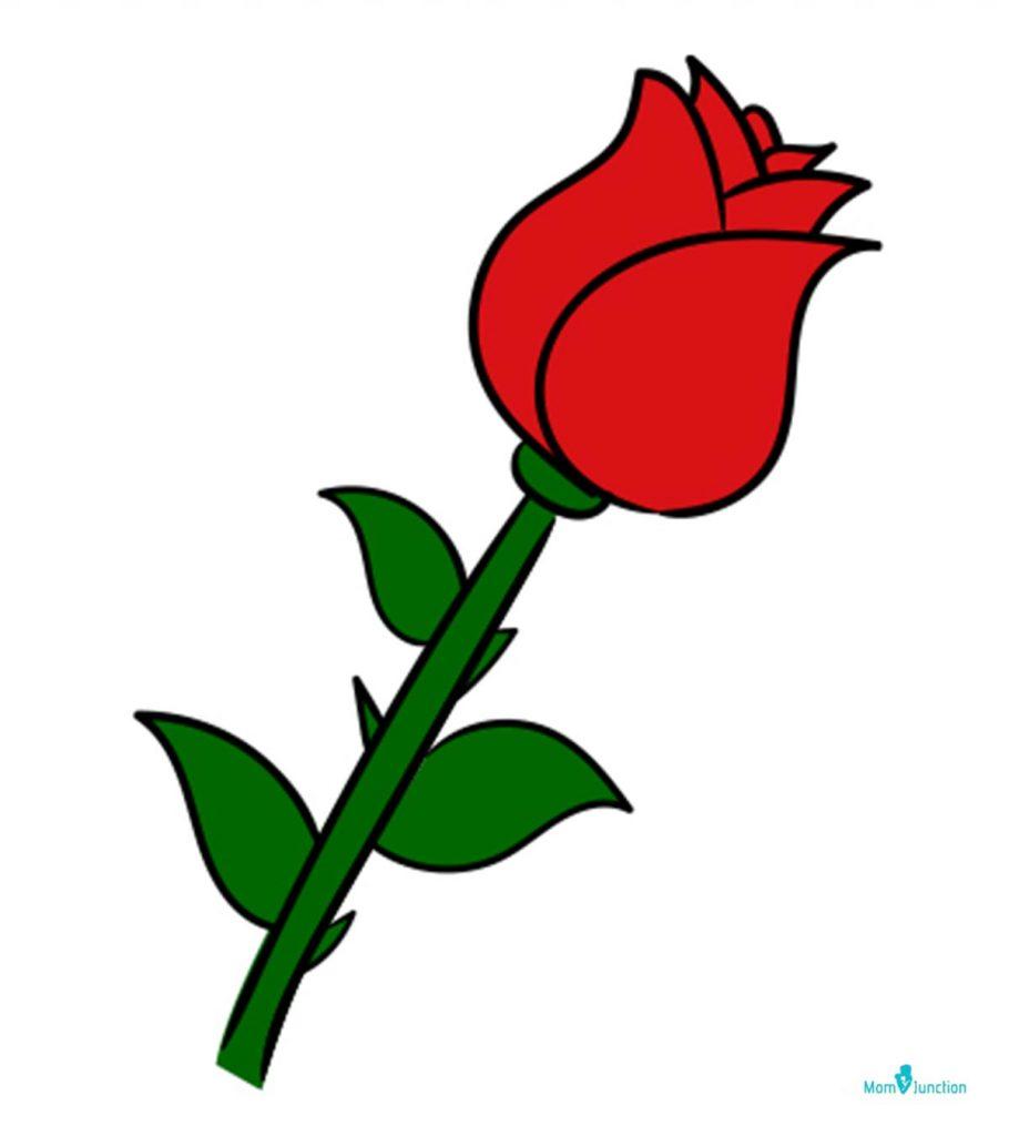 red rose flower drawing illustration 13168235 PNG