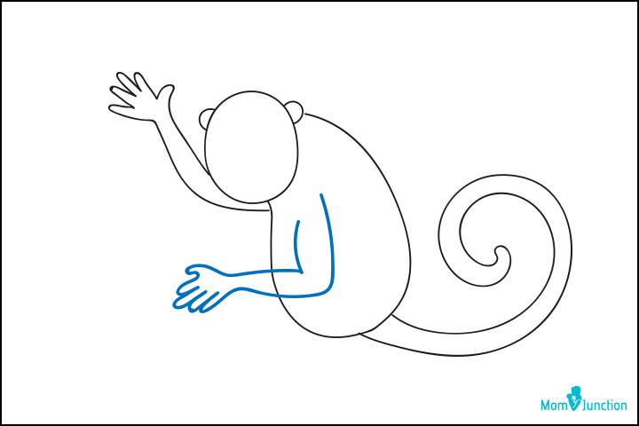 How to Draw a Monkey  SketchBookNationcom