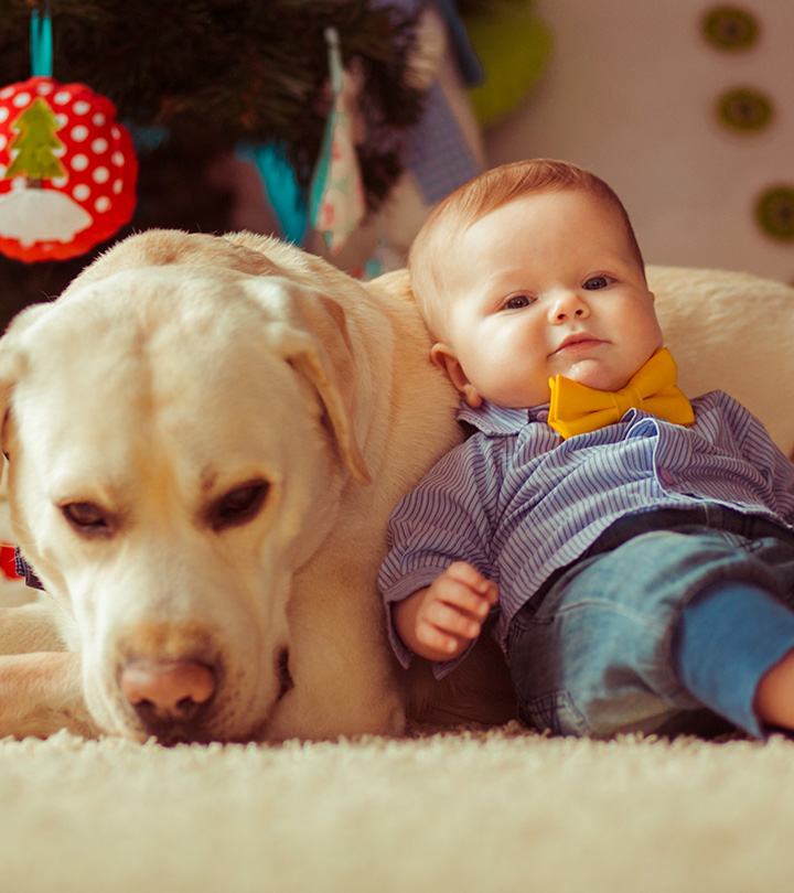 These Pictures Prove That Raising Babies And Dogs Together Is As Cute As You’ve Dreamed