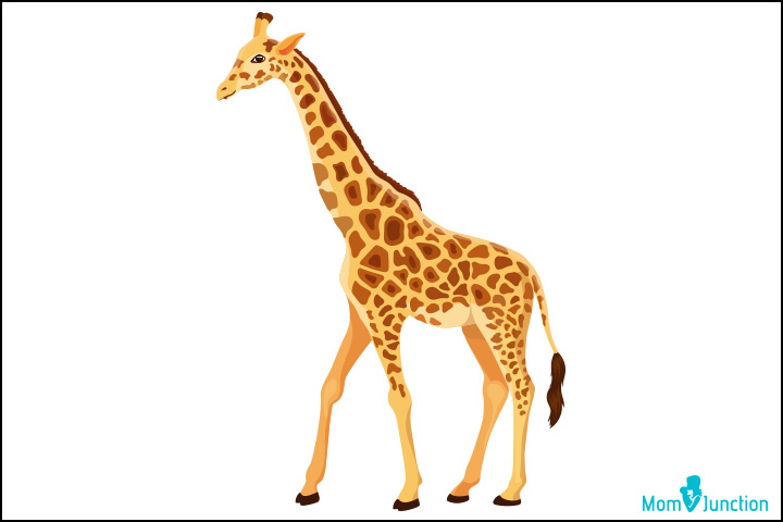 How to draw Animals | Giraffe tutorial step by step