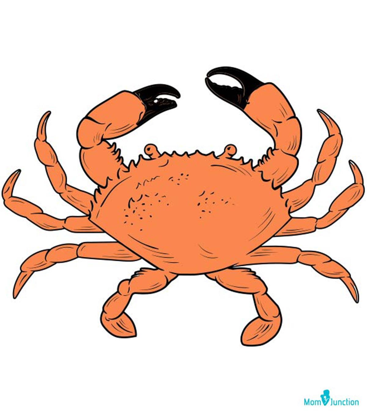 How To Draw A Crab