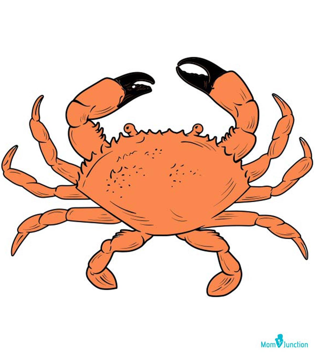 How To Draw A Crab For Kids: A Step-By-Step Tutorial