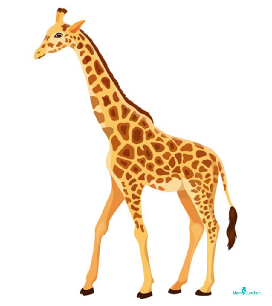 How to Draw a Giraffe - Step by Step Tutorial | Skip To My Lou