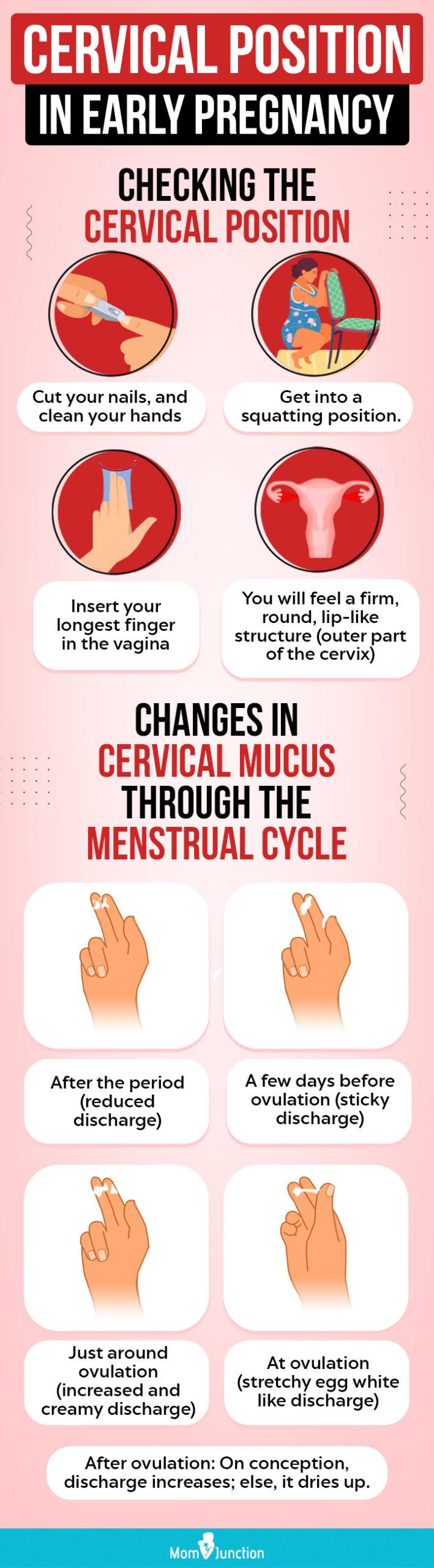 Cervical fluid discount before period