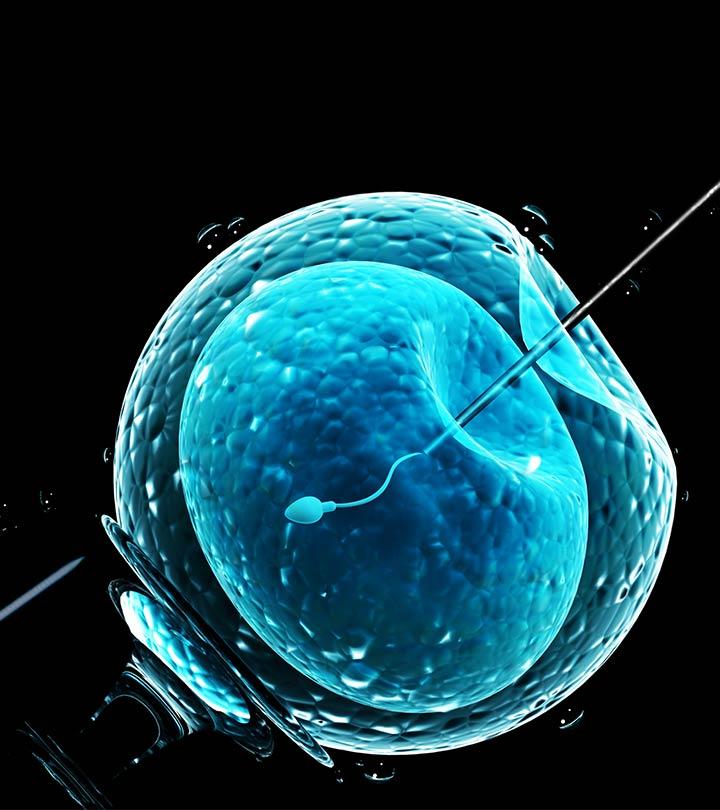 In-Vitro Fertilization: Procedure, Risks And Success Rate