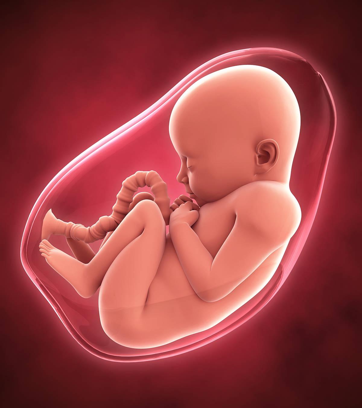 Ultrasound Showing High Amniotic Fluid