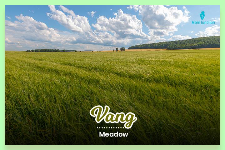 This name comes from the Old Norse word vangr.
