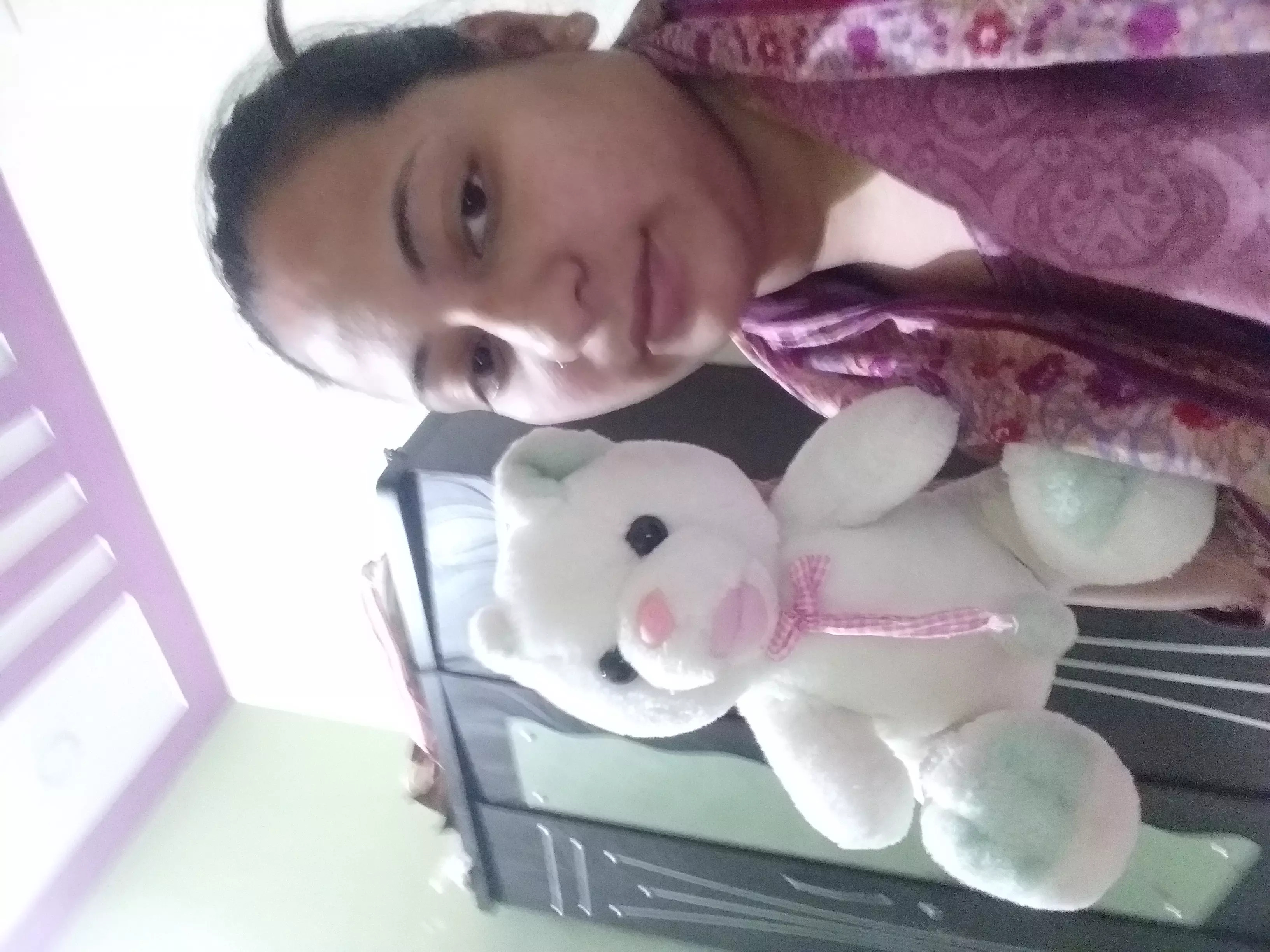 playtoons soft toys