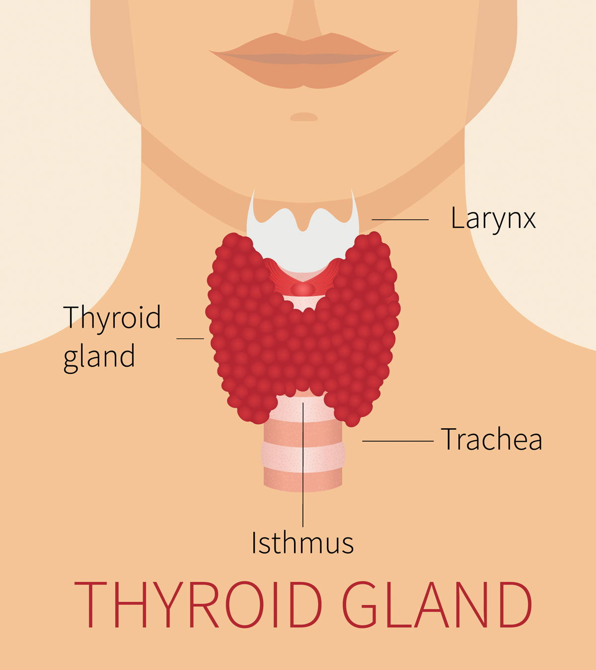 बच्चों में थायराइड के लक्षण व इलाज | Baccho Me Thyroid Ke Lakshan