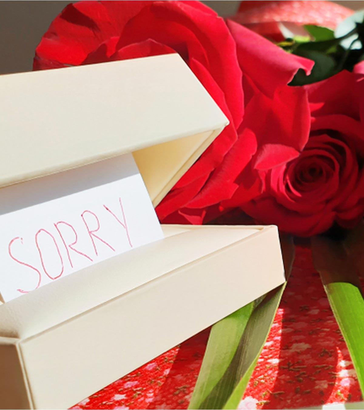 101 Sincere Sorry Messages And Quotes For Wife