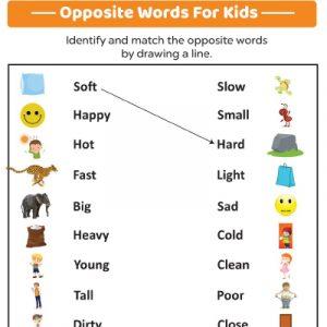 Match-the-antonyms Worksheet For Kindergarten