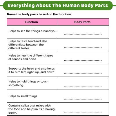 4th grade science worksheets best coloring pages for kids