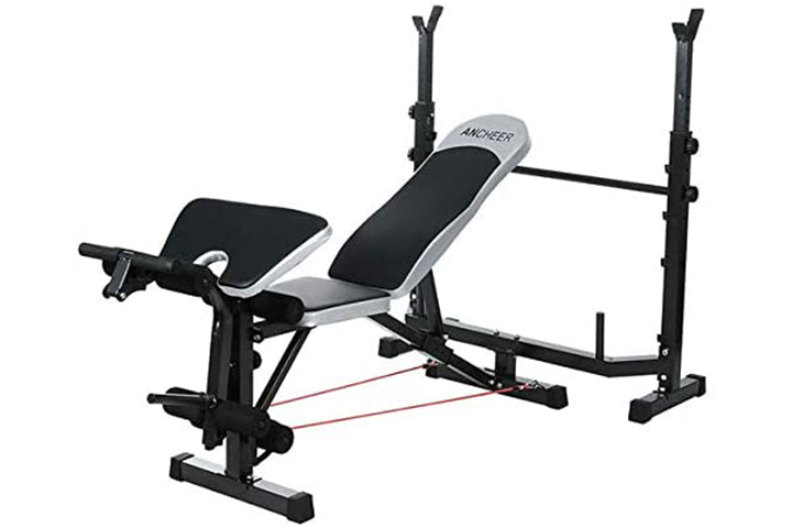 Adjustable Weight Bench Press with Squat Rack Folding Multi-Function Dip  Station for Full Body Workout Home Gym Strength