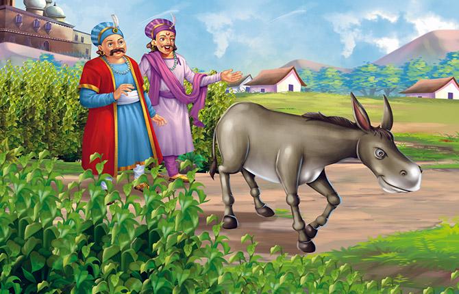 Magical Donkey Story