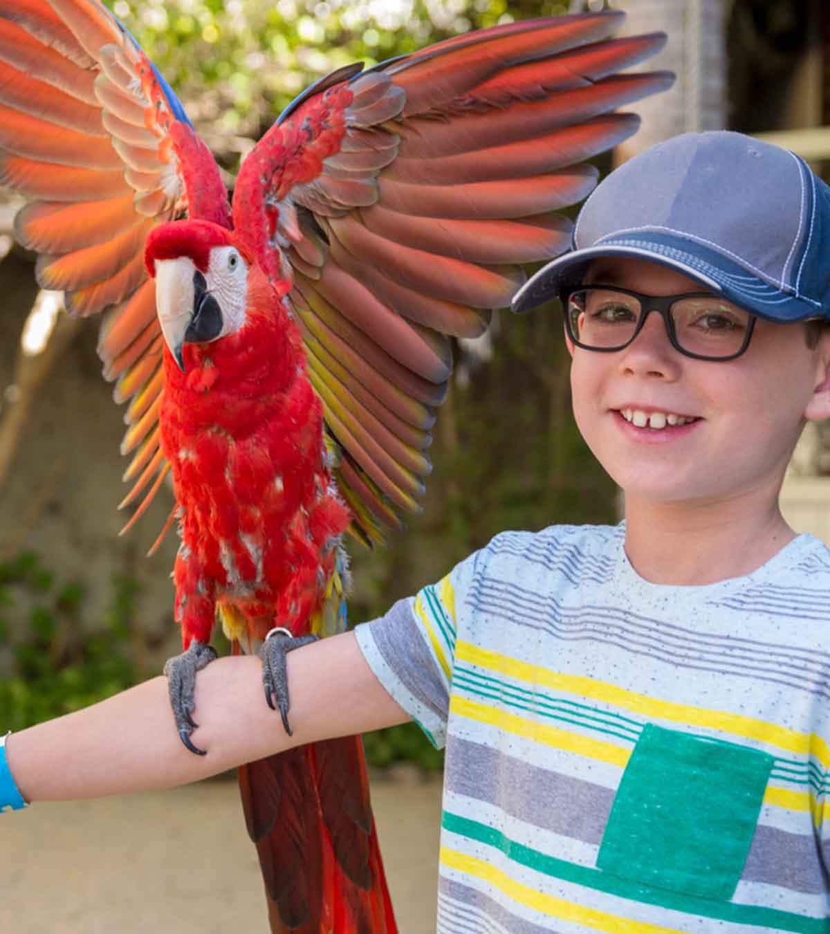 A parrot sitting on a kid