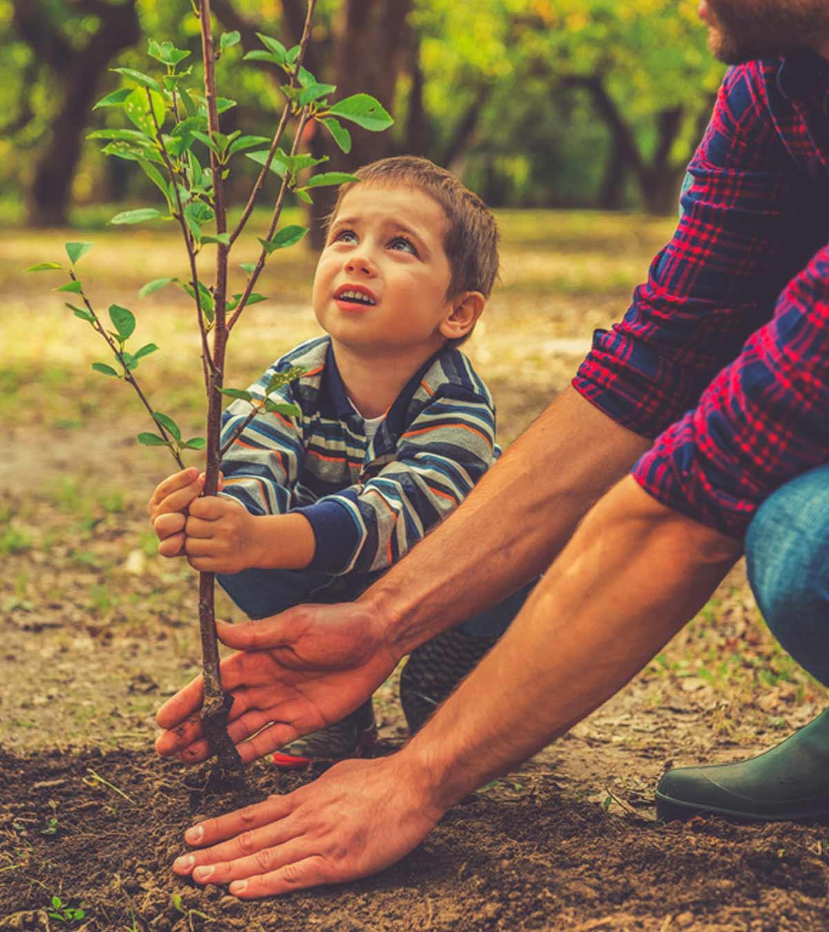 Interesting facts and information about plants for kids