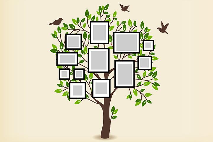 family tree drawing for kids