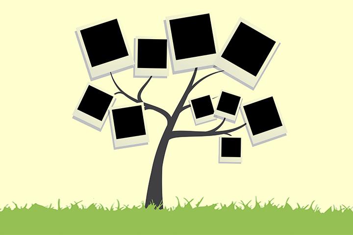 How to Draw a Tree  Emily Drawing