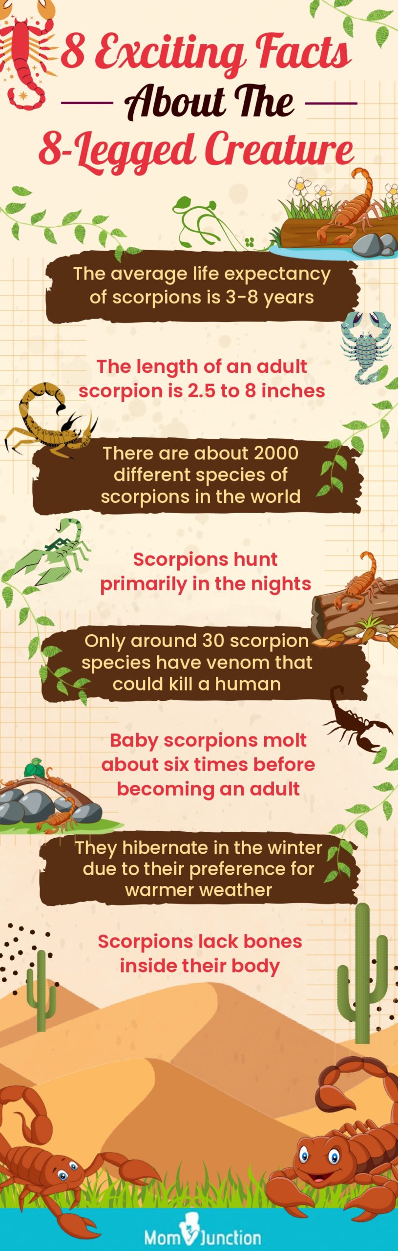8 exciting facts about the 8 legged creature (infographic)