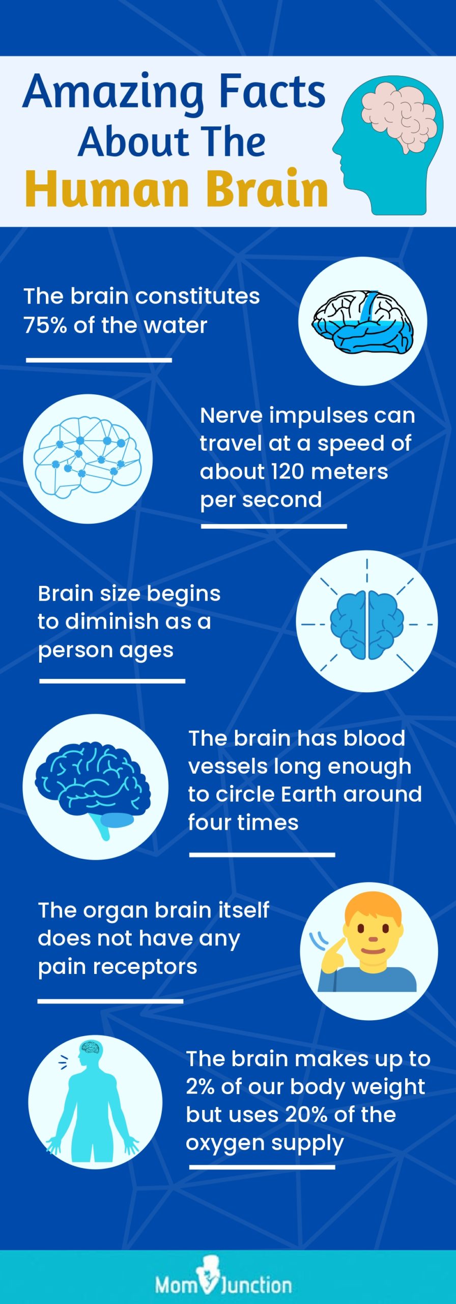10 Interesting Facts About The Human Mind