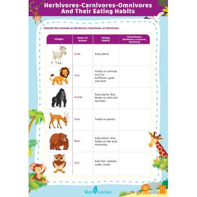 Herbivores-Carnivores-Omnivores And Their Eating Habits