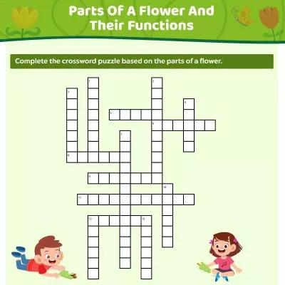 Parts Of A Flower And Their Functions